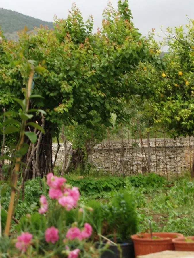 Ferienwohnung La Casa Di Nonna Qeparo 0*,  Albanien