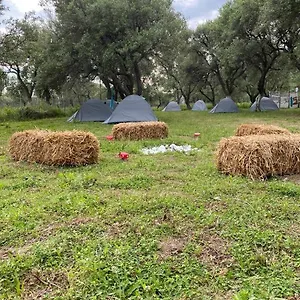  Glamping Cika's Camping