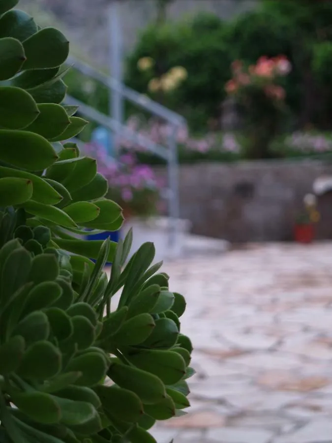 דירות צ'פרו La Casa Di Nonna